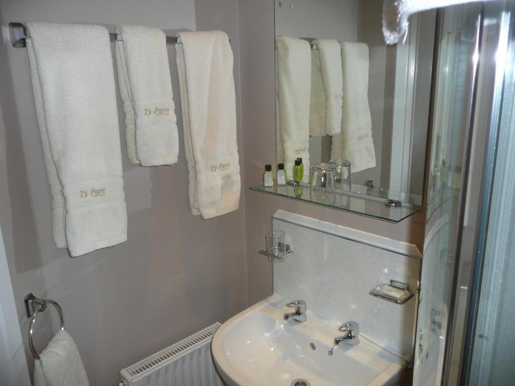 Hôtel Ty-Parc à Cardigan Extérieur photo